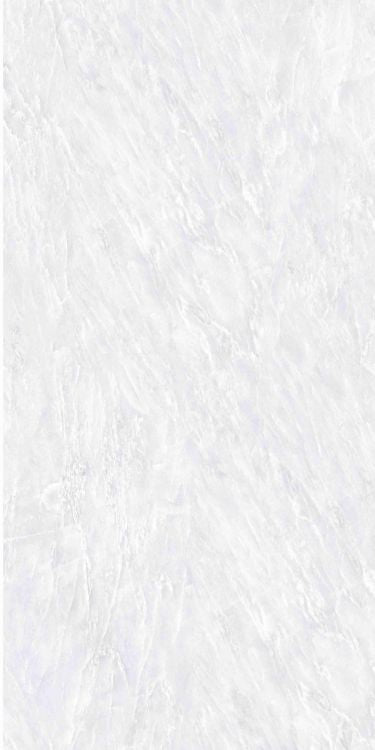 OL Vivid White Matte 12 x 24