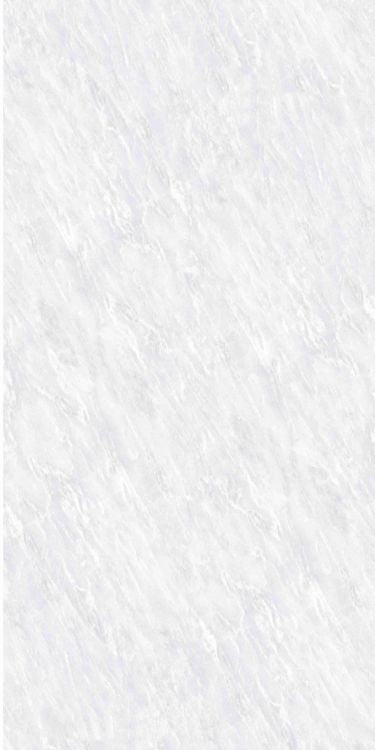 OL Vivid White Matte 24 x 48