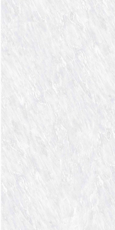 OL Vivid White Matte 24 x 48