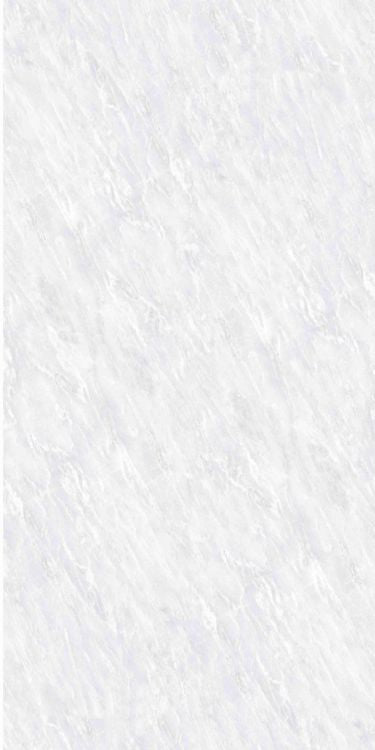 OL Vivid White Matte 24 x 48