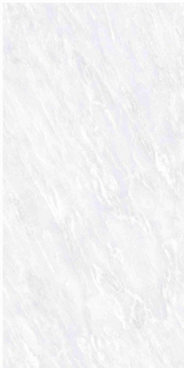 OL Vivid White Matte 12 x 24