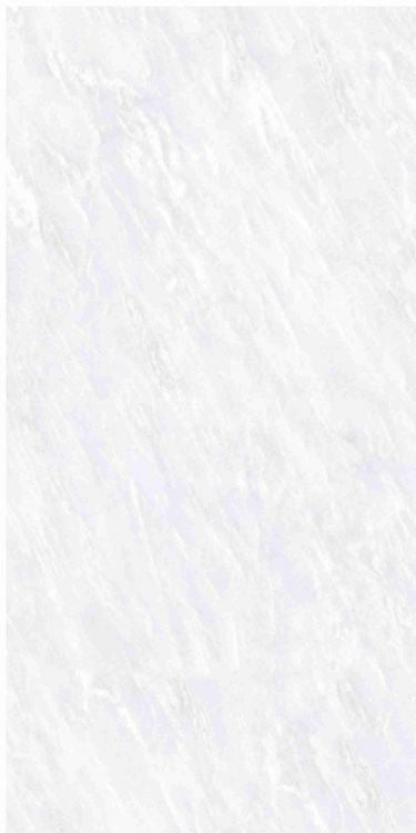 OL Vivid White Matte 12 x 24