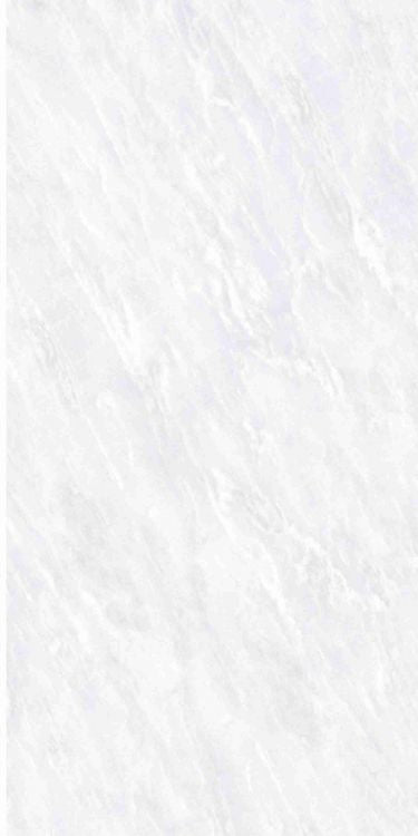 OL Vivid White Matte 12 x 24