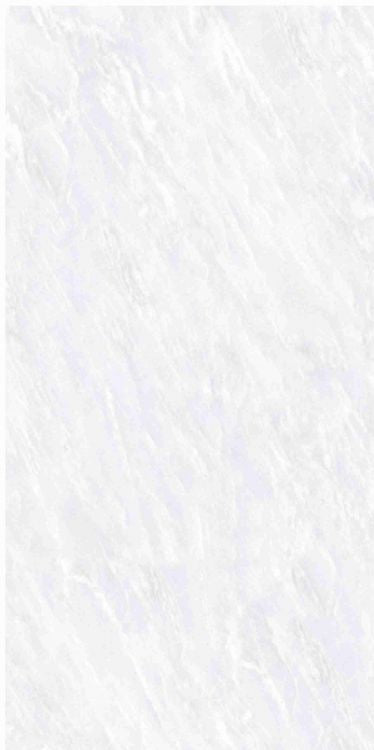 OL Vivid White Matte 12 x 24