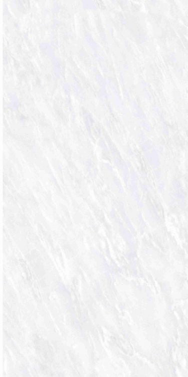 OL Vivid White Matte 12 x 24