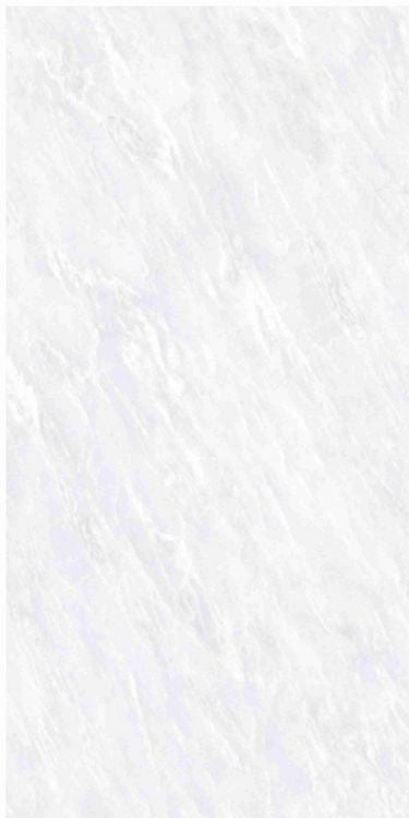 OL Vivid White Matte 12 x 24