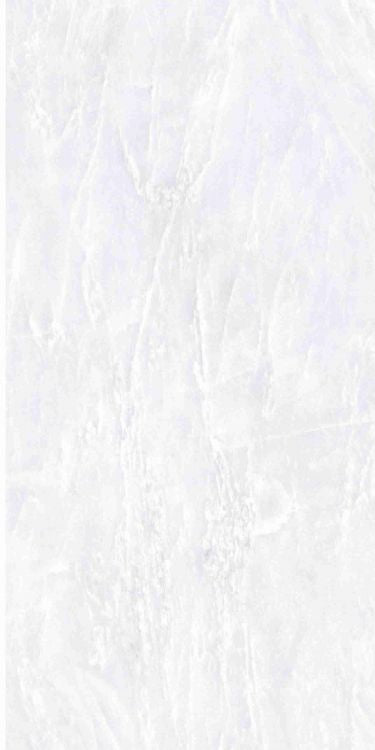 OL Vivid White Matte 12 x 24