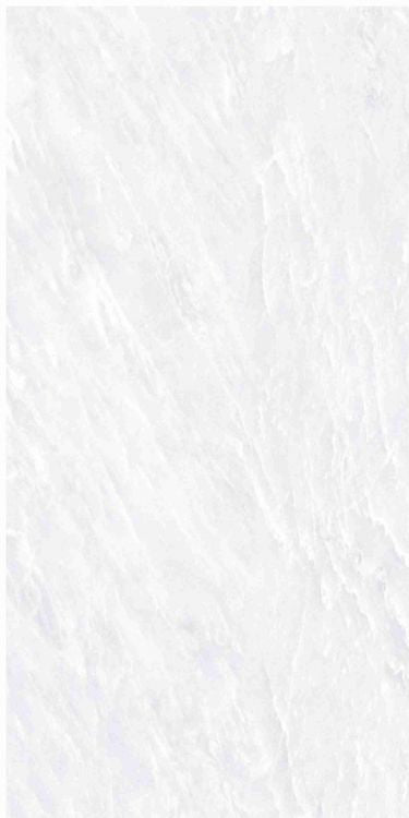 OL Vivid White Matte 12 x 24