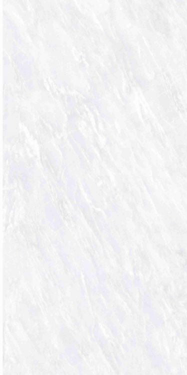 OL Vivid White Matte 12 x 24