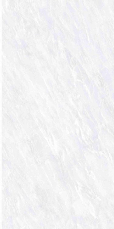 OL Vivid White Matte 12 x 24
