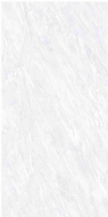 OL Vivid White Matte 12 x 24