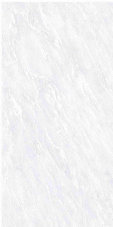 OL Vivid White Matte 12 x 24