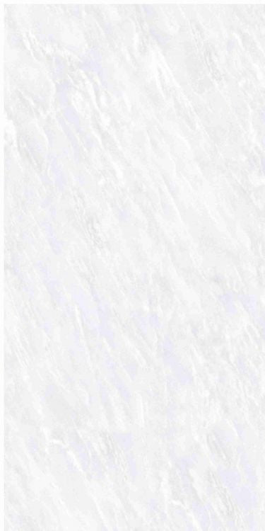 OL Vivid White Matte 12 x 24