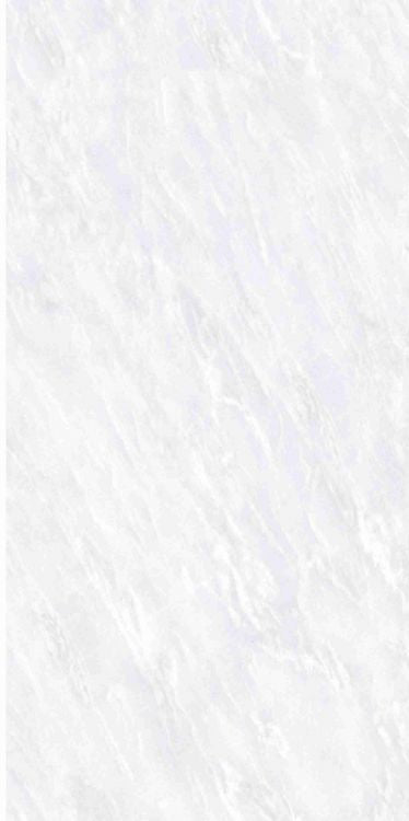 OL Vivid White Matte 12 x 24