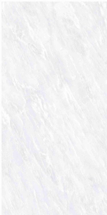 OL Vivid White Matte 12 x 24