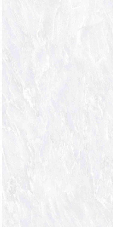 OL Vivid White Matte 12 x 24