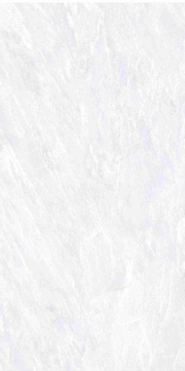 OL Travertine Avorio Matte 24 x 48