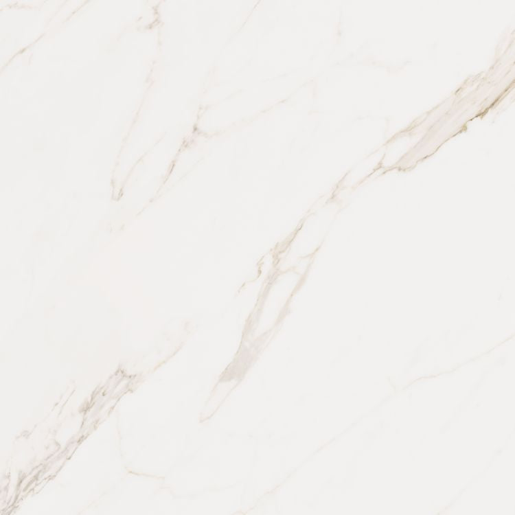 Omnia Calacatta Matte 48 x 48