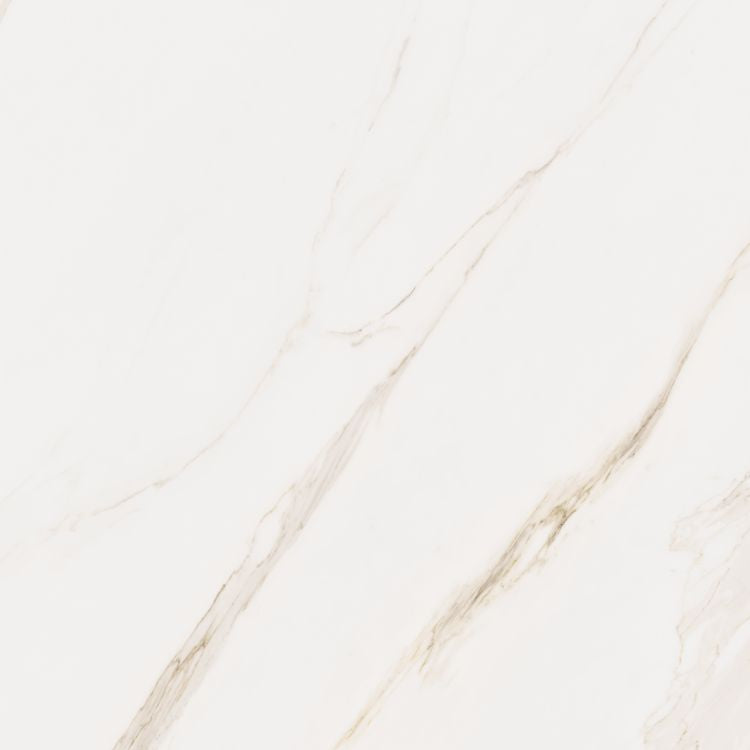 Omnia Calacatta Tile Levigato 48 x 48