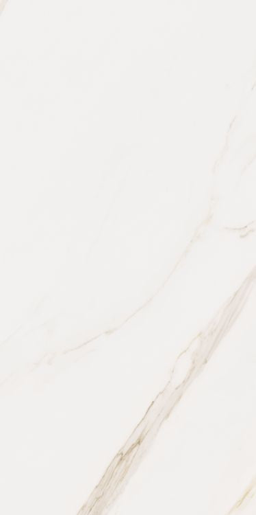 Omnia Calacatta Matte 12 x 24