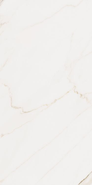 Omnia Calacatta Matte 24 x 48