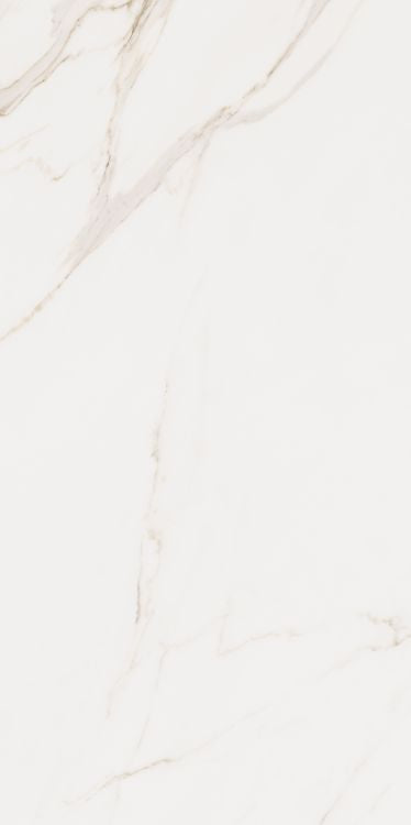 Omnia Calacatta Matte 24 x 48