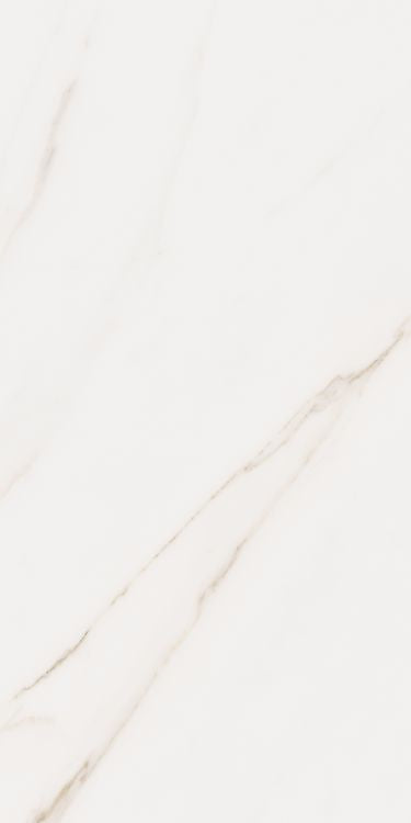 Omnia Calacatta Matte 12 x 24