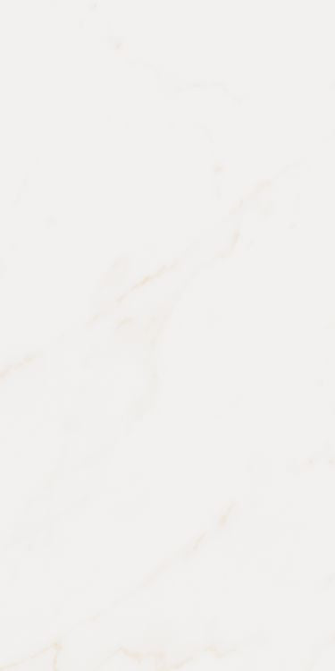 Omnia Calacatta Matte 12 x 24