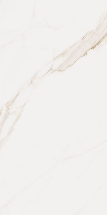 Omnia Calacatta Levigato 24 x 48