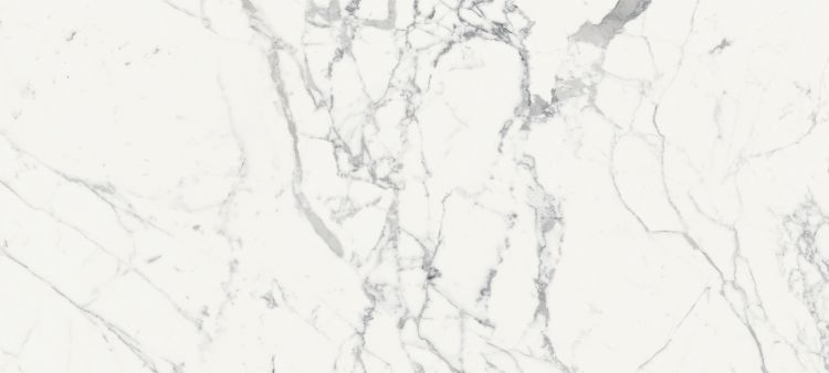 Origines De Rex Blanc Matte 6MM 47 x 110