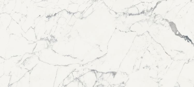 Origines De Rex Blanc Matte 6MM 47 x 110