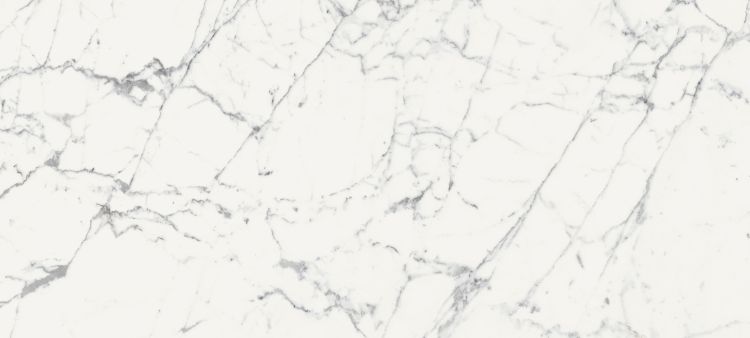 Origines De Rex Blanc Matte 6MM 47 x 110