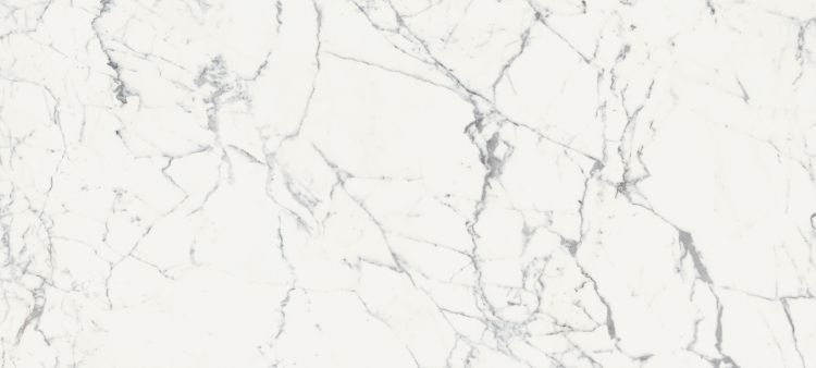 Origines De Rex Blanc Glossy 6MM 47 x 110