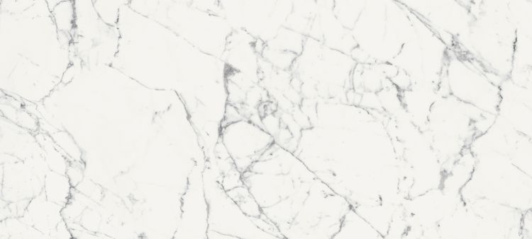 Origines De Rex Blanc Glossy 6MM 47 x 110