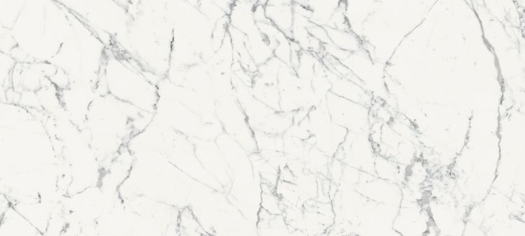 Origines De Rex Blanc Glossy 6MM 47 x 110