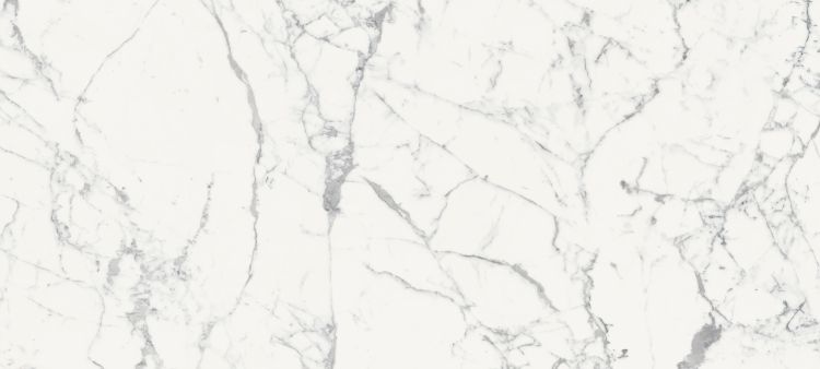 Origines De Rex Blanc Glossy 6MM 47 x 110