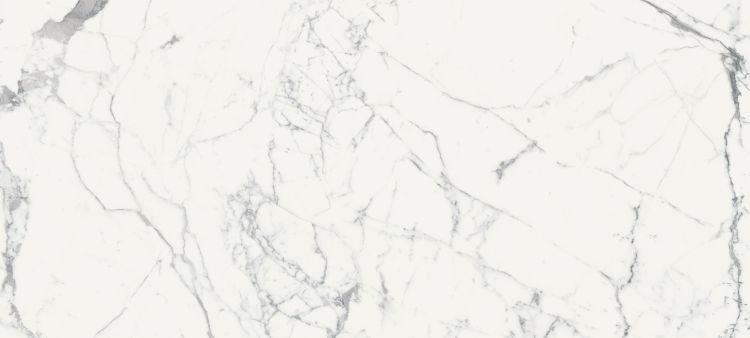 Origines De Rex Blanc Glossy 6MM 47 x 110