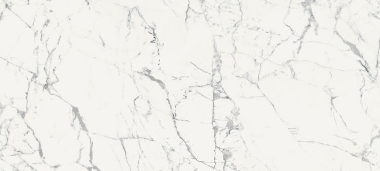 Origines De Rex Blanc Glossy 6MM 47 x 110