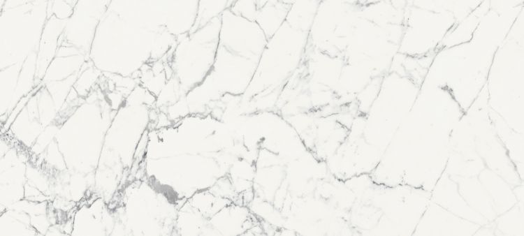 Origines De Rex Blanc Glossy 6MM 47 x 110