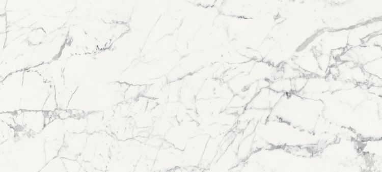 Origines De Rex Blanc Glossy 6MM 47 x 110