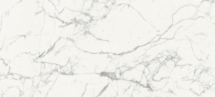 Origines De Rex Blanc Glossy 6MM 47 x 110
