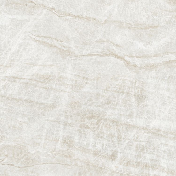Kraken Polished 48 x 48