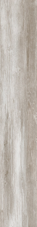 DaVinci 5 8 x 48