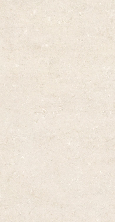 Grey Light Matte 12 x 24