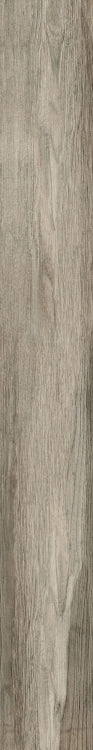 Larix Perla 8 x 68