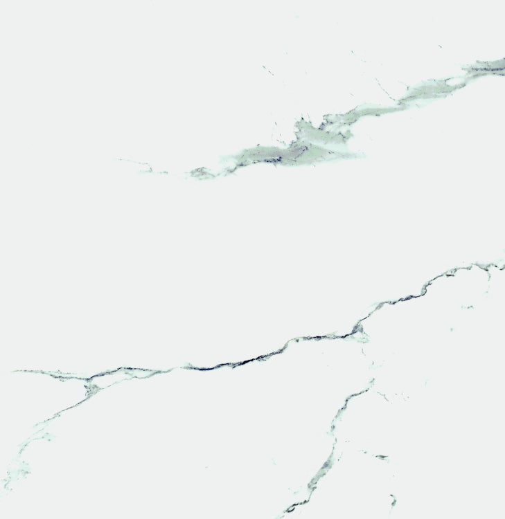 Malaysia Carrara Pre Matte 24 x 24