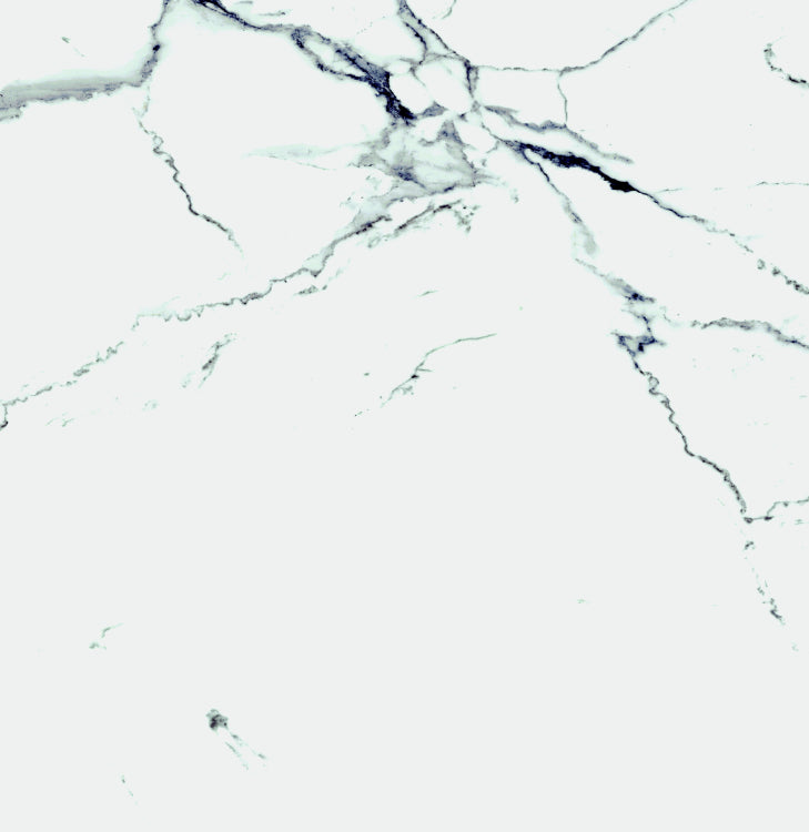Malaysia Carrara Pre Matte 24 x 24