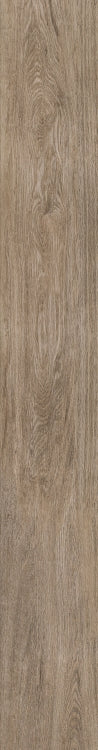 Selection Oak Amber 8 x 48