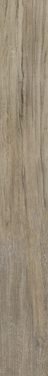 Selection Oak Amber 8 x 48
