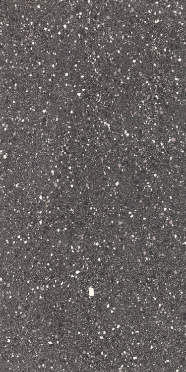 Rock 2013 Flat Dark Ash 12 x 24